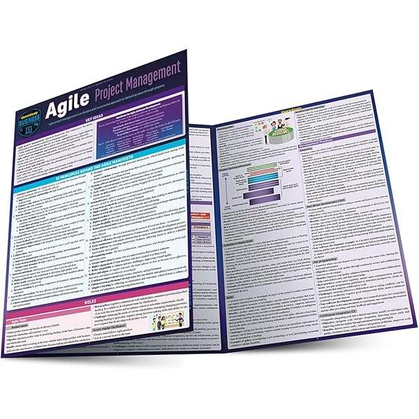 QuickStudy PMBOK Guide Quick Reference - for 7th Edition