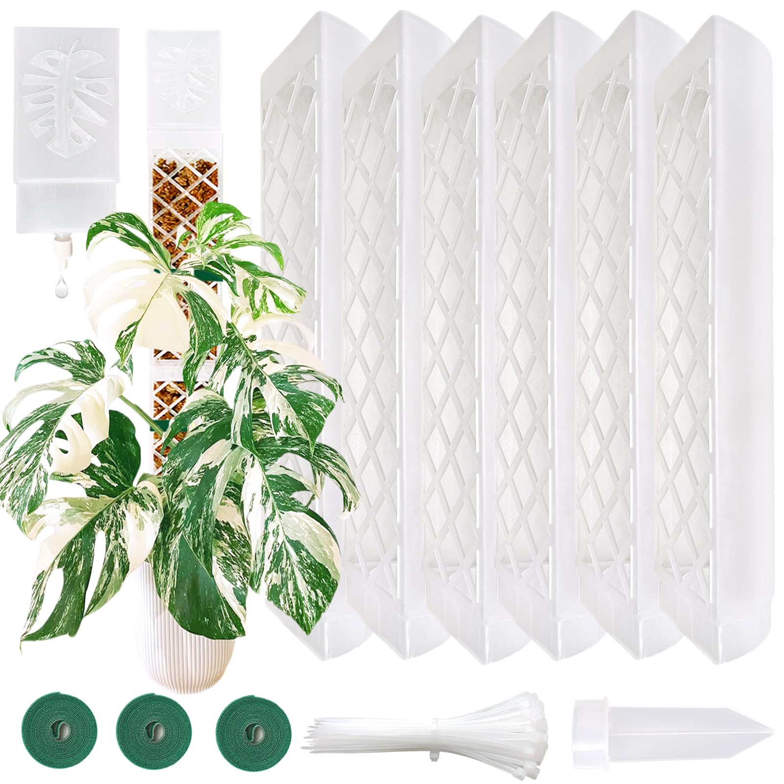 Photo 1 of MIIIM 6 Pcs Self-Watering Moss Poles, D Shape Moss Pole Kit for Climbing Plants Indoor, Semi Transparent Monstera Plant Support, 69 Inches in Total Length