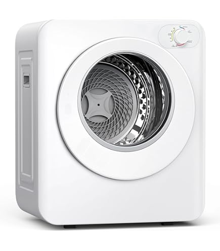 Amazon.com: ZXCVBNAS Compact Dryer, 220v Electric Portable Clothes