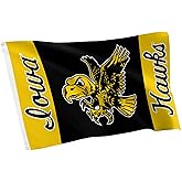 Desert Cactus University of Iowa Flag - 3 x 5 Feet Iowa Hawkeyes Banner, Indoor/Outdoor Durable Fabric Display (Style Vintage E1)