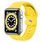Upgrade Bands Compatible with Apple Watch Band 42mm