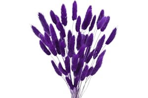 Uieke 17’’ Natural Bunny Tails Dried Flowers, 50 Pcs Dried Lagurus Ovatus, Dried Purple Pampas Grass Decor for Farmhouse Flower Arrangements Wedding Home Craft Boho Party Decorations