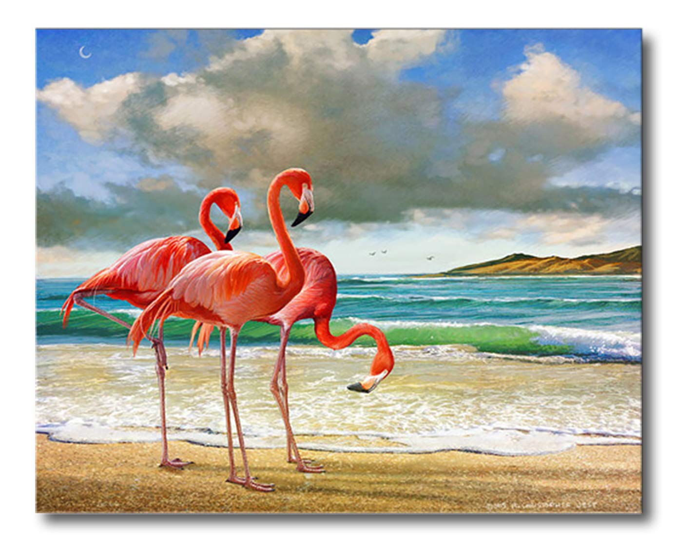 Shukqueen Paint by Number, DIY Oil Painting for Adults, Beginner's, 16X20 Inch, Frameless