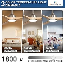 BvenuBigLite Outdoor Ceiling Fan with Light: 52