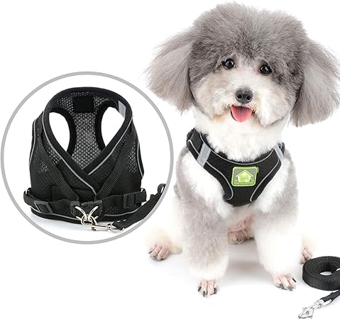 escape proof small dog harness