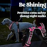 rabbitgoo Dog Harness Medium Front Back Clips Reflective Rose Pink M view 9