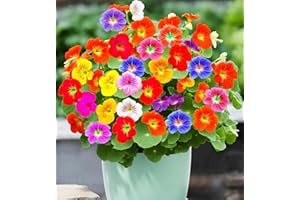 100+ Mix Nasturtium Seeds, Non-GMO Heirloom Flower Attracts Pollinators, Easy to Plant, Nasturtium Seeds for Planting Outdoor