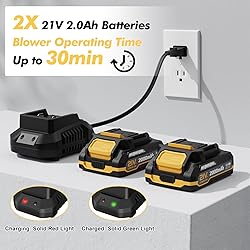 Leaf Blower Cordless with 2 Batteries and