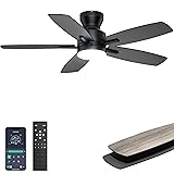 Ohniyou Ceiling Fans with Lights, 42'' Low Profile