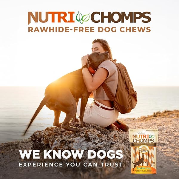 NUTRICHOMPS DOG CHEWS 5-INCH TWISTS, EASY TO DIGEST, RAWHIDE-FREE DOG TREATS, 10 COUNT, REAL PEANUT BUTTER FLAVOR (PACKAGING MAY VARY)