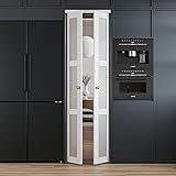 French Pivot Door for 24" x 80" Opening, Double