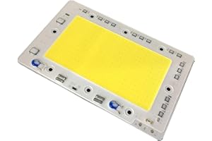Lansan 50W 100W 150W LED Floodlight COB Chip Integrated Smart IC Driverless DIY AC 110V (150W)