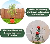Garden Mile 5Pcs Plant Support Stakes 76cm Green Aluminium Ring Frames view 6