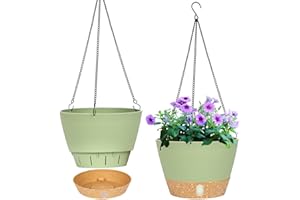QCQHDU 2 Pack Hanging Planters for Indoor Outdoor Plants, 8 Inch Hanging Baskets Flower Pots with Reservoir Tray & Visible Water-Level