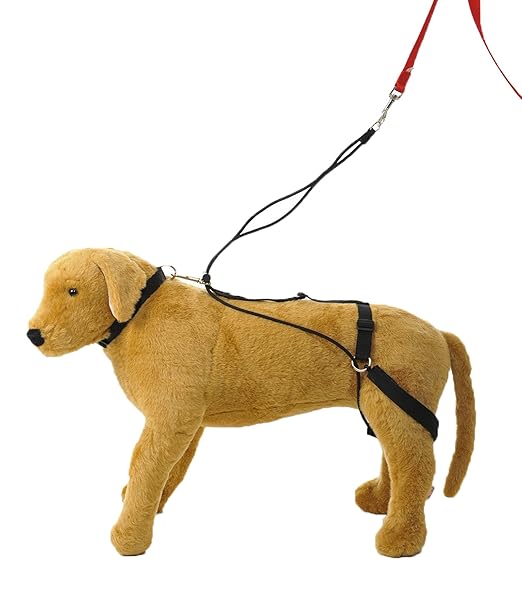 Hannadees Harness No Pull Back Leg Dog Harness