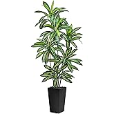 Artificial Dracaena Tree 5FT Tall Fake Plant with White Planter - Realistic Faux Dragon Tree with Tall Planter - Indoor Floor Plant for Home, Office,Mall, Living Room, Bedroom Decor