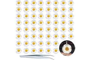 Dried Pressed Flowers, HEISENLIN 60PCS White Natural Real Pressed Dried Daisy Flowers, Dry Flowers with Forceps for Resin Jewelry Soap Scrapbooking DIY Candle Decoration Nail Pendant Crafts Making