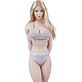 1/6 Scale Female Clothes,Female Pink Bras Underwear Clothing for 12inch PH TBL JO Seamless Action Figure Body (B)