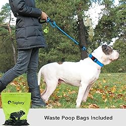 Taglory Rope Dog Leash 6 FT with Comfortable Padded