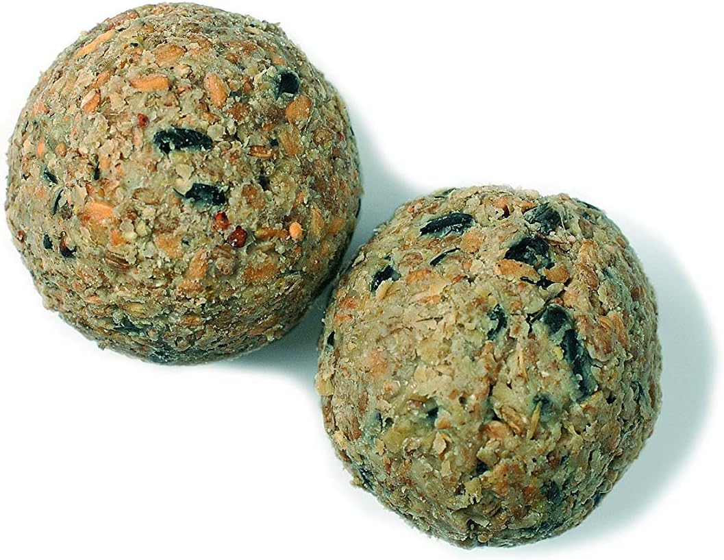 Erdtmann Suet Balls without Net, Pack of 100 Amazon.co.uk Pet Supplies