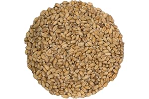 Organic, Cat Grass/Pet Grass Seed - 500g - Canadian-Grown and Packaged