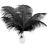 Ballinger Large Decorative Black Ostrich Feathers Bulk,12Pcs,12-14inch | Long Natural Big Black Ostrich Feathers for Centerpiece Vase,Artificial Flower Arrangement,Halloween Wedding Party Home Decor