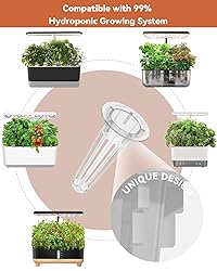 Fruits Seed Pod Kit for