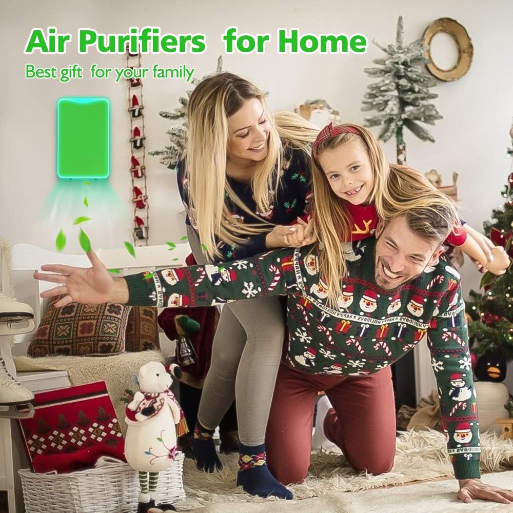 Air Purifier,Air Purifier for Home and Smoke and Office Pets Odor, Direct Plug-in Portable Ionic Air Purifier Travel-Size Smoke Purifier: Kitchen & Dining