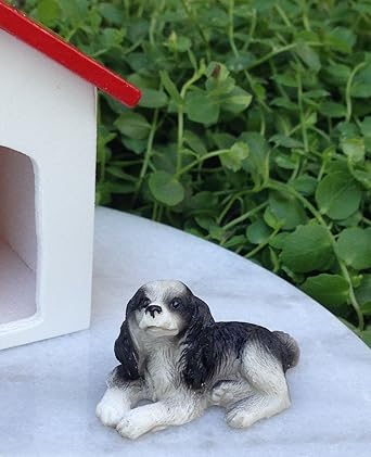 miniature springer spaniel