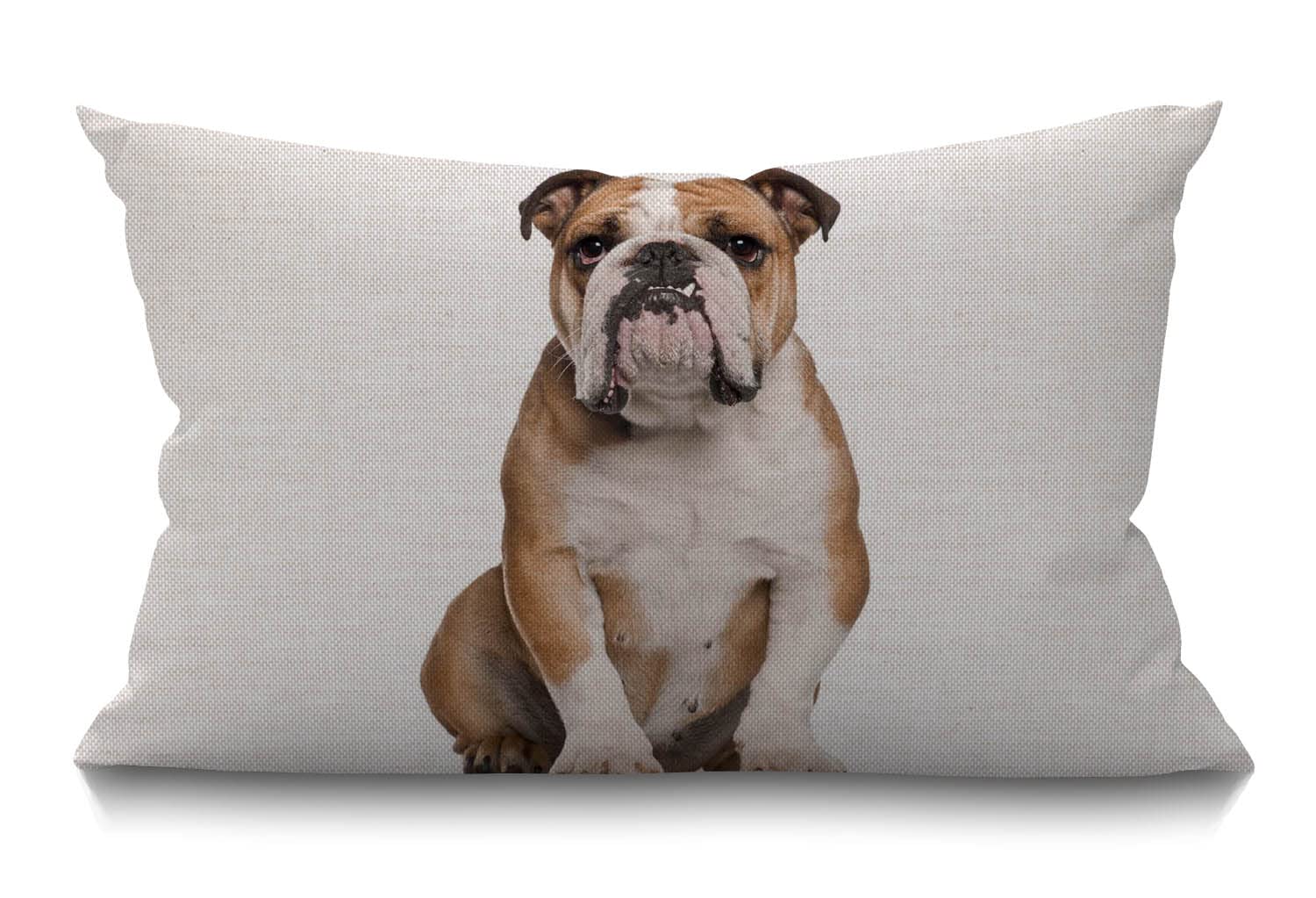 BGBDEIA Bulldog Cushion Cover English Bulldog Sitting Against White Background Cotton Linen Decorative Rectangular Throw Pillow Cover Pillowcase for Sofa and Bed Couch 12"X20" 30 x 50 cm