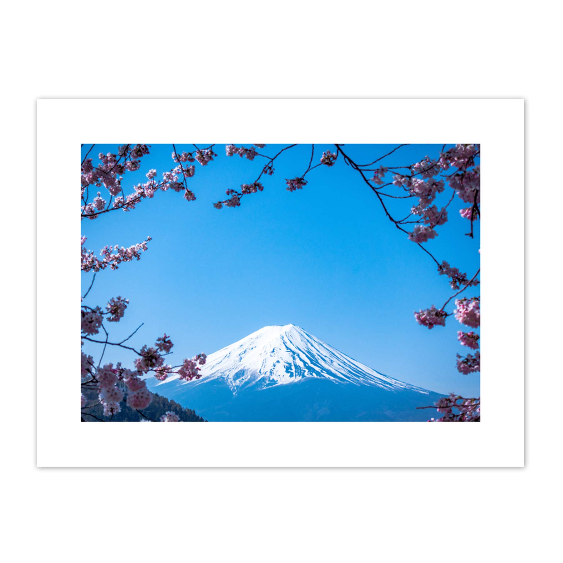 Ying Cherry Blossom Mount Fuji Japan Canvas Wall Art Print