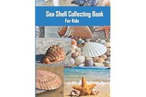 Sea Shell Collecting Book For Kids: Have Fun during your Beachcombing adventures while you Collect and Record your finds.