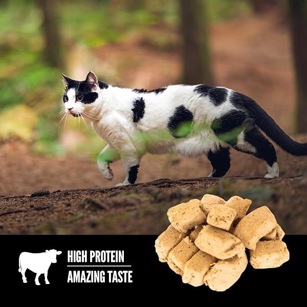 ORIJEN FREEZE DRIED CAT TREATS GRAIN FREE HIGH PROTEIN RAW ANIMAL INGREDIENTS REGIONAL RED 1.25OZ BAG