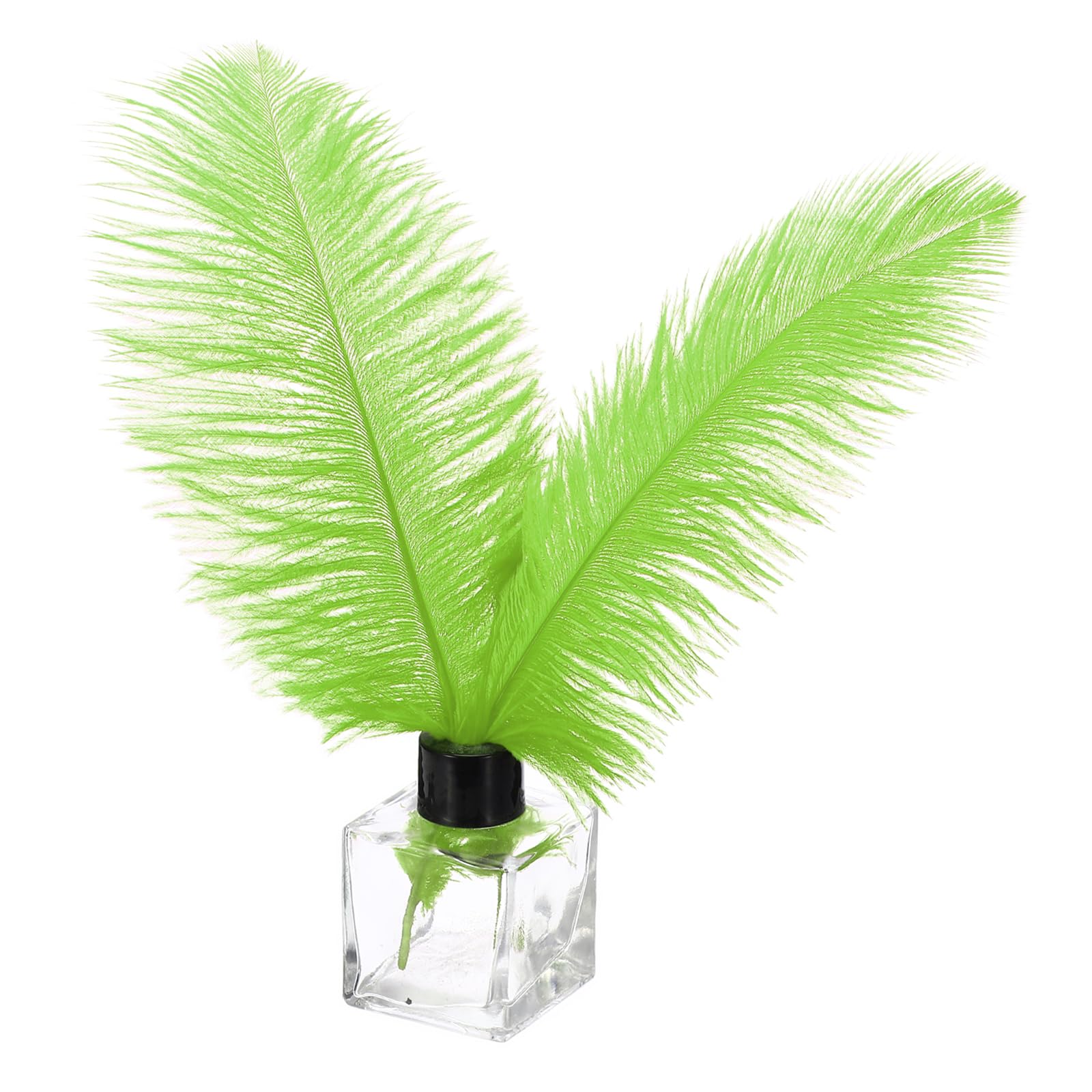 PATIKIL 30 Pcs Natural Ostrich Feathers Bulk 8-10 Inch/ 20-25 cm Large Ostrich Feathers for Crafts Home Decoration Wedding Party Vase Decor (Green)