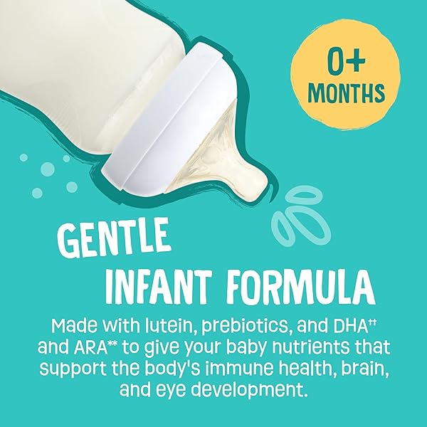 EARTH’S BEST ORGANIC GENTLE INFANT FORMULA WITH IRON MILK BASED POWDER, 21 OZ