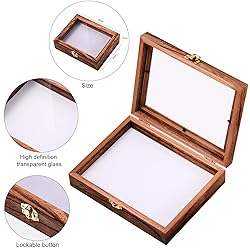 Insect Display Case Box Collection Box with Clear