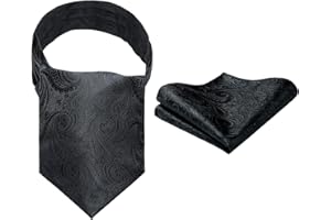 HISDERN Ascot Ties for Men Paisley Floral Ascot and Pocket Square Set Classic Self Tie Mens Cravat Handkerchief for Wedding