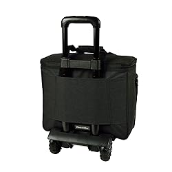 Picnic at Ascot Original Insulated Picnic Cooler