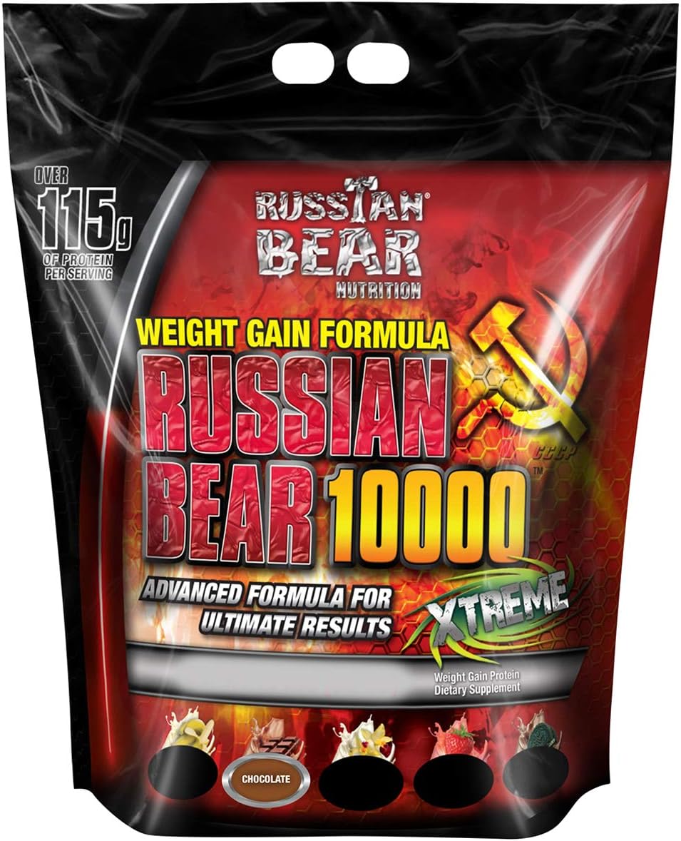 RUSSIAN BEAR 10000 Weight Gainer Bag Chocolate, 15 lbS