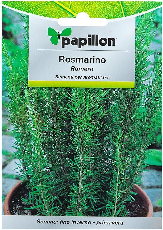 Semillas Aromaticas Romero (0.1 Gramos): Amazon.es: Jardín