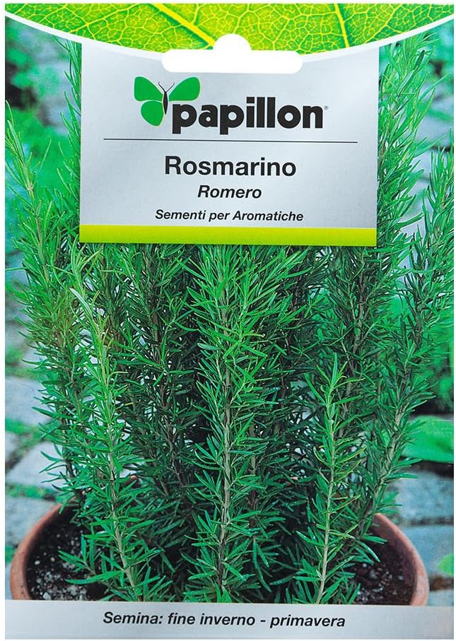Semillas Aromaticas Romero (0.1 Gramos): Amazon.es: Jardín