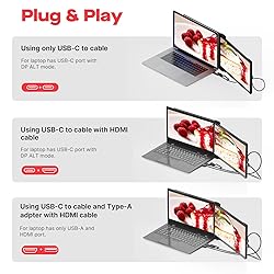 Portable Monitor - Mobile Pixels Duex Plus DS