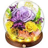 Avolend Preserved Rose with Butterfly in Glass Dome, Eternal Flowers with LED Lights, Aesthetic Home Decor for Mom, Girlfriend, Anniversary & Birthday Gifts for Her, Purple
