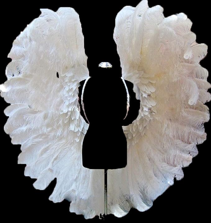 Amazon.com : Da NeeNa Gigantic White Ostrich Feather Angel Victoria