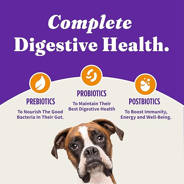 HALO HOLISTIC SMALL BREED DOG FOOD, CAGE FREE CHICKEN & SWEET POTATO RECIPE, GRAIN FREE DRY DOG FOOD, COMPLETE DIGESTIVE HEALTH, 3.5 LB BAG