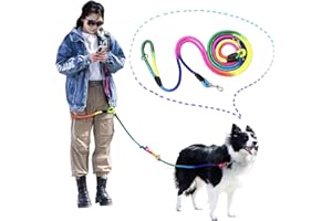 JOPOY Hands Free Dog Leash Waist & Crossbody Rope with Slip Lead Durable for 2 Dogs Nylon Reflective Heavy Duty Hiking Running Leash for Medium Large Dogs(Rainbow, 13Ft)