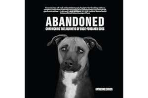 Abandoned: Chronicling the Journeys of Once-Forsaken Dogs
