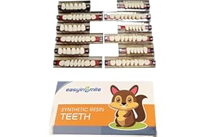 Smileheven Acrylic Resin Fake Teeth Synthetic Denture Resin Teeth Complete Teeth 84PCS /Box for Halloween Party Replacement (A2)