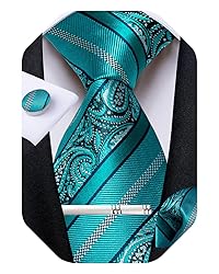DiBanGu Silk Paisley Ties for Men Woven Necktie and