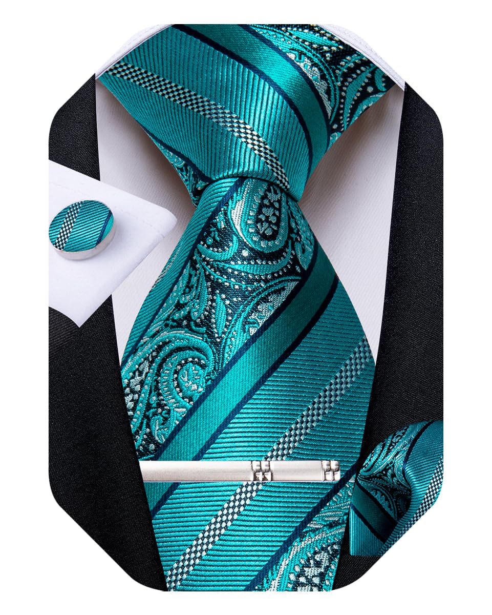 DiBanGu Silk Paisley Ties for Men Woven Necktie and